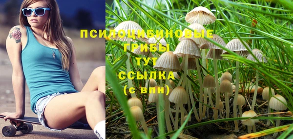 прущая мука Коряжма