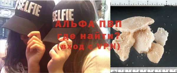 сатива Краснослободск
