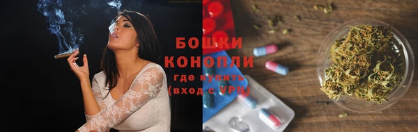 сатива Краснослободск