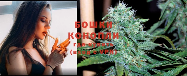сатива Краснослободск