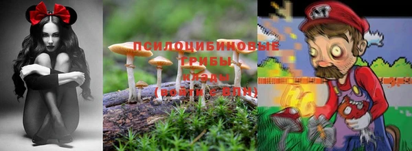 сатива Краснослободск